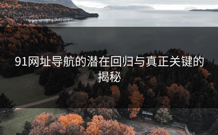 91网址导航的潜在回归与真正关键的揭秘