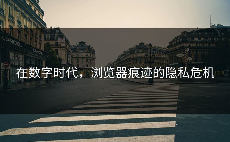 在数字时代，浏览器痕迹的隐私危机