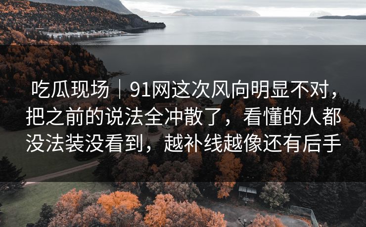 吃瓜现场｜91网这次风向明显不对，把之前的说法全冲散了，看懂的人都没法装没看到，越补线越像还有后手