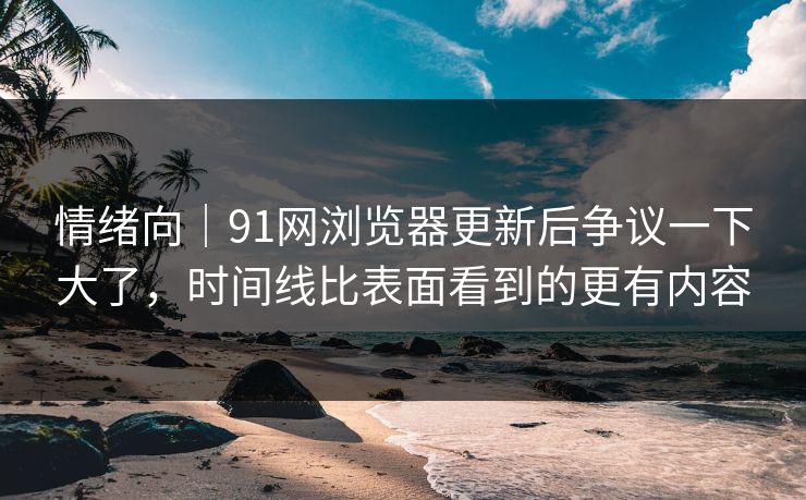 情绪向｜91网浏览器更新后争议一下大了，时间线比表面看到的更有内容