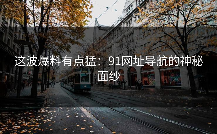 这波爆料有点猛：91网址导航的神秘面纱