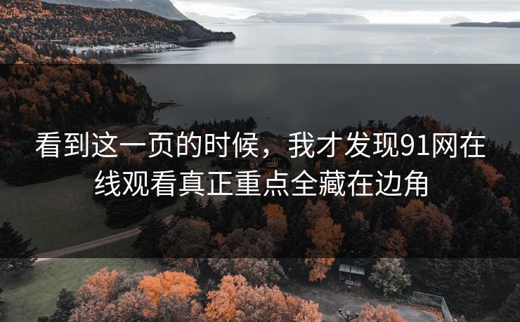 看到这一页的时候，我才发现91网在线观看真正重点全藏在边角