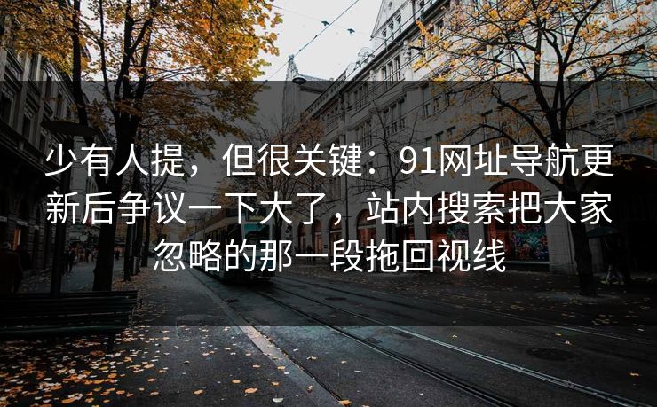 少有人提，但很关键：91网址导航更新后争议一下大了，站内搜索把大家忽略的那一段拖回视线
