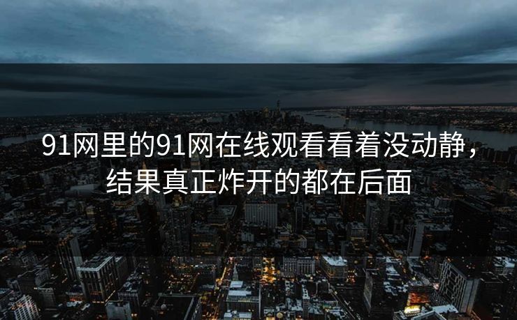 91网里的91网在线观看看着没动静，结果真正炸开的都在后面