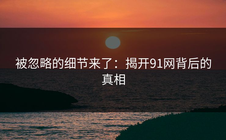 被忽略的细节来了：揭开91网背后的真相
