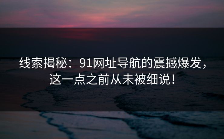 线索揭秘：91网址导航的震撼爆发，这一点之前从未被细说！