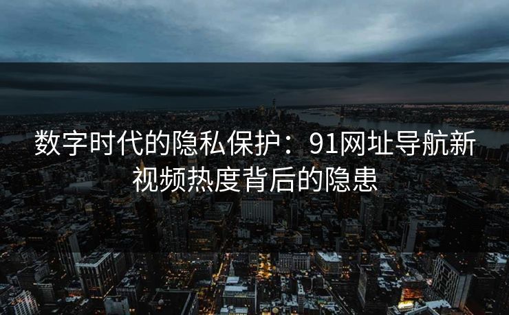 数字时代的隐私保护：91网址导航新视频热度背后的隐患