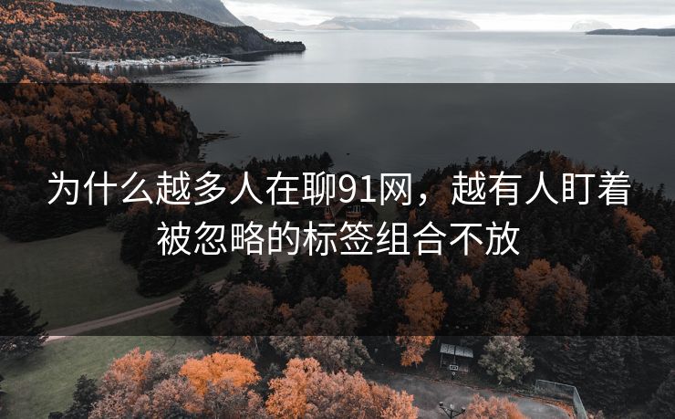 为什么越多人在聊91网，越有人盯着被忽略的标签组合不放